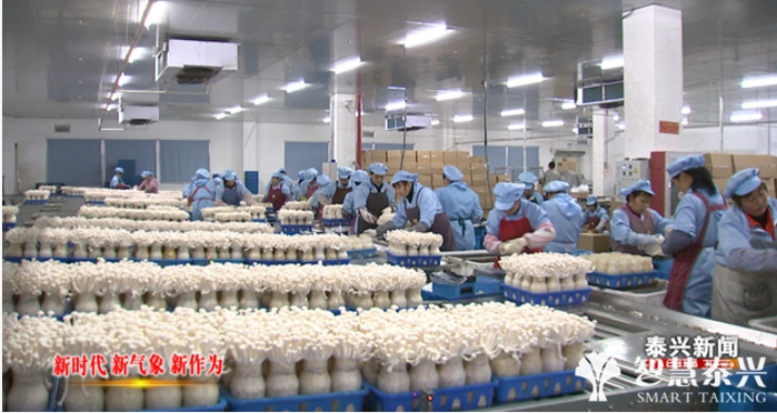 市农产品加工园区 引进税源型项目，奋力冲刺“百亿”规模