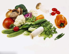 商丘农产品 天然馈赠，新鲜直达