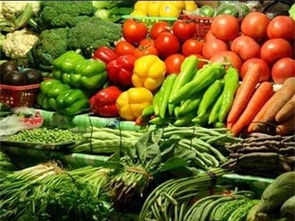 甘肃推进农产品冷链物流体系建设，助力农业高质量发展