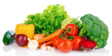 免费试用 屡获殊荣的睿农宝r农产品可视化追溯系统为农场产销助力