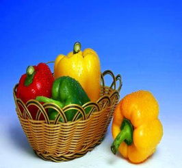 龙岗绿色食品配送 有机蔬菜批发与农产品供应链的领航者