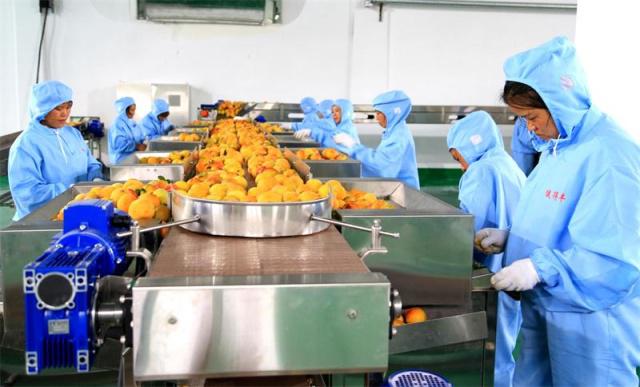 三都农产品深加工项目正式投产，开启乡村振兴新篇章